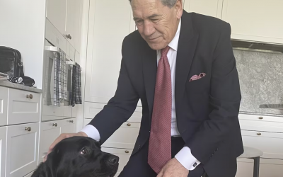 Protest at Winston Peters’ home shows how far debate has fallen